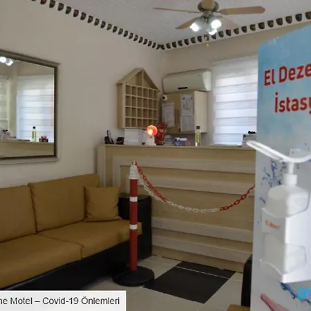 Avsa Cane Türkeli
