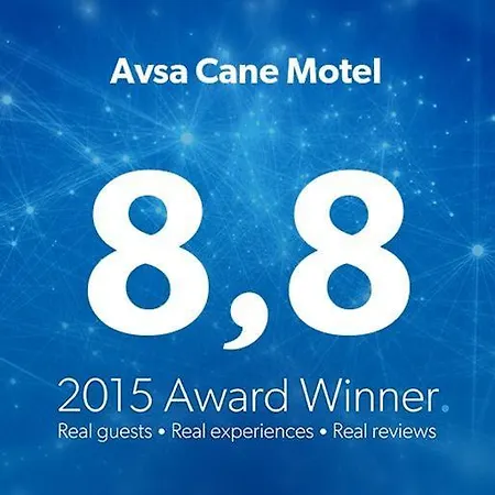 Avsa Cane Türkeli
