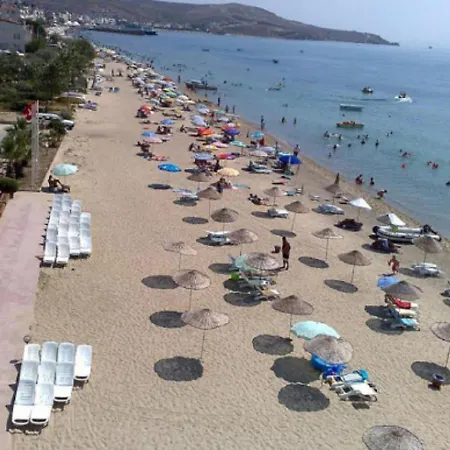 Avsa Cane Türkeli